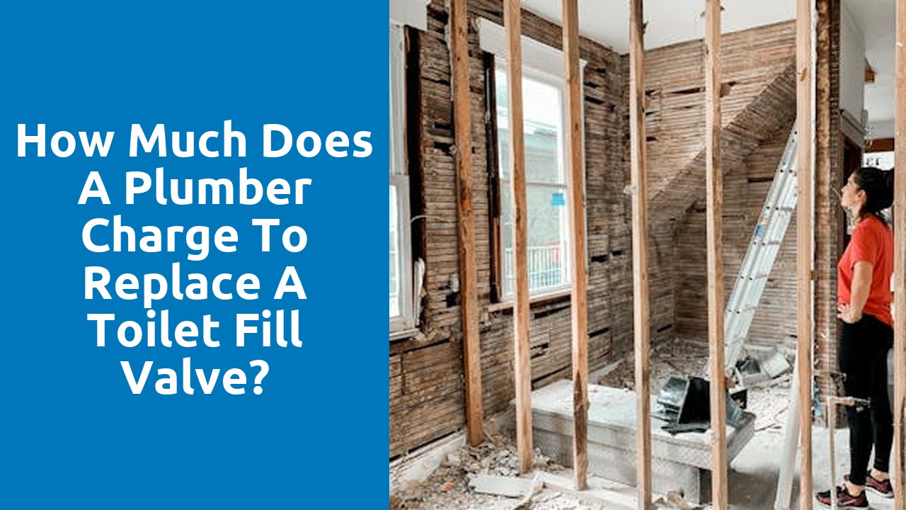 How much does a plumber charge to replace a toilet fill valve?