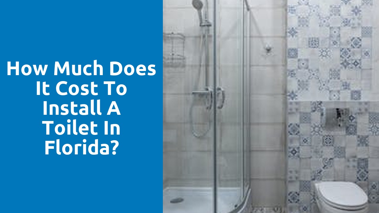How much does it cost to install a toilet in Florida?