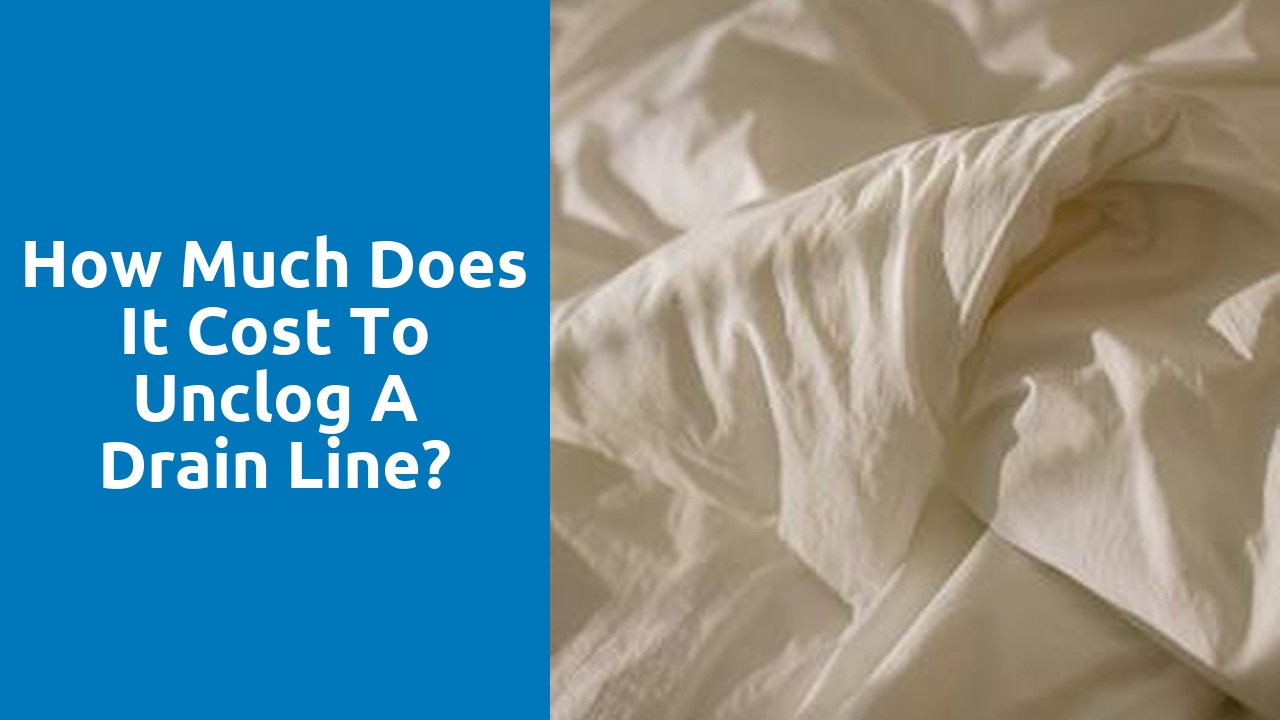 How much does it cost to unclog a drain line?