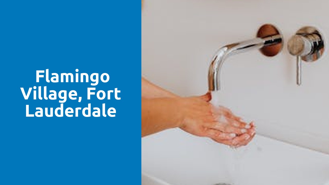 Things to do and places to visit in Flamingo Village, Fort Lauderdale