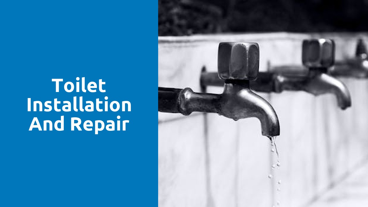 Toilet installation and repair